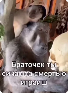 💀