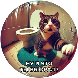 💩