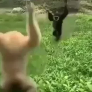 👋
