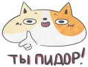 Кот Маняу