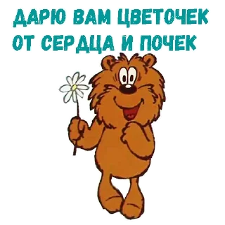 🌺