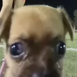 😐