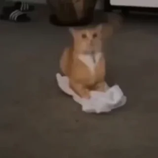 🤨
