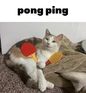 🏓