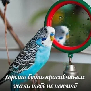 🥰