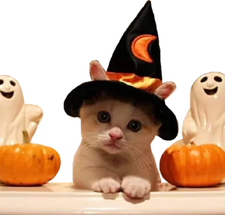 🎃
