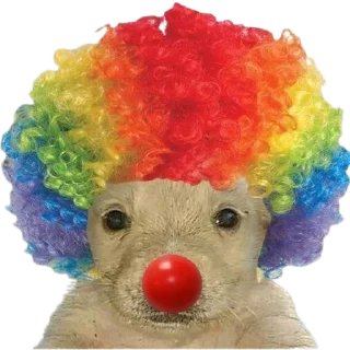 🤡