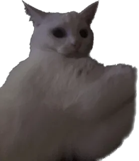 😧