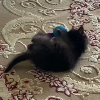 💕