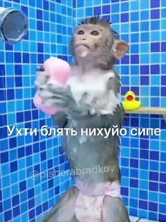 🤩