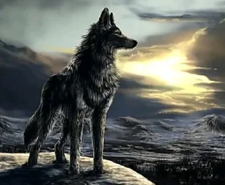 🐺