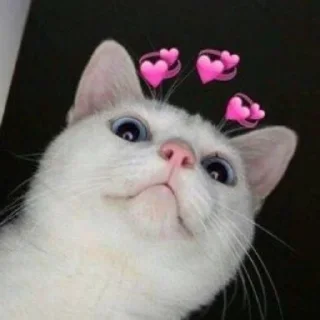 ☺️