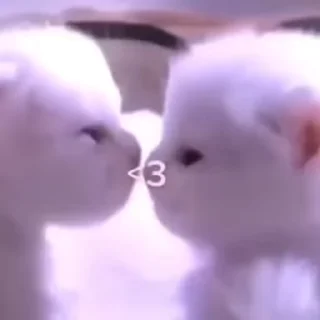 😘