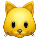 🐱