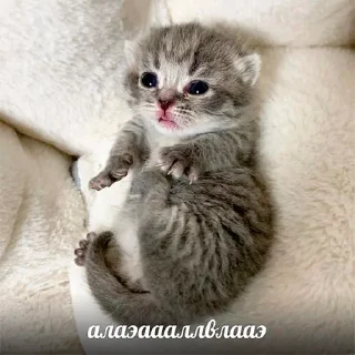 😵‍💫