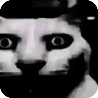 💀