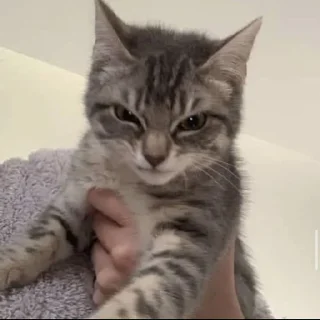 😠