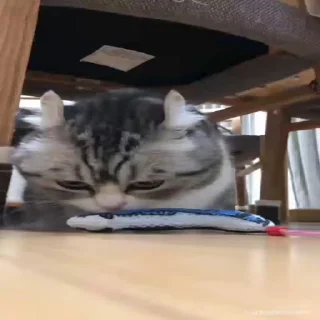 😨