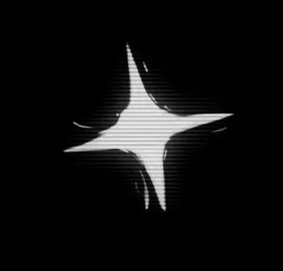 🌟