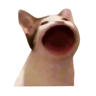 😮