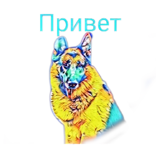Сериал «Пёс»