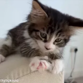 😋