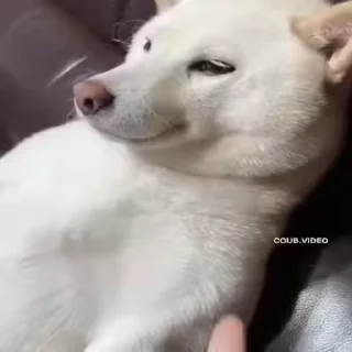 😔