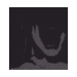 👻