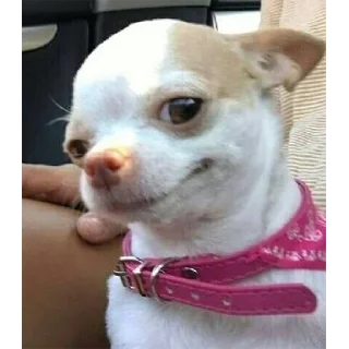😉