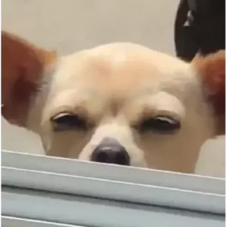 🤨