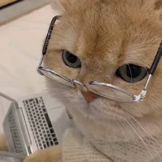 🤓