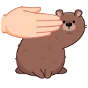 🫣