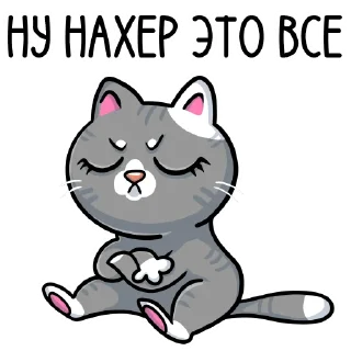 🐱