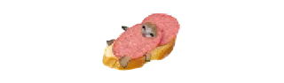 🥪