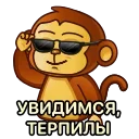 😎