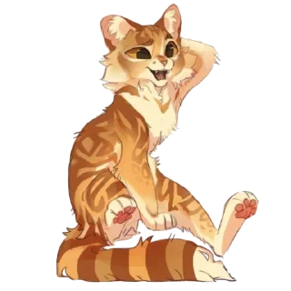 🐱