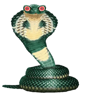 🐍
