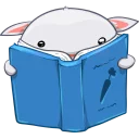📚