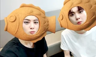 🐟