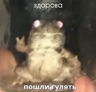 👋