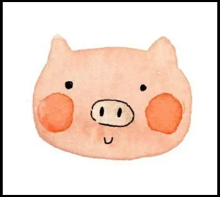 🐷
