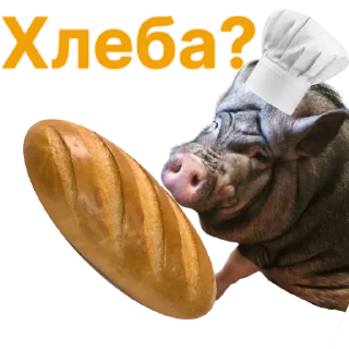 🥖