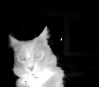 😱