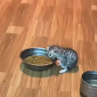 🤩