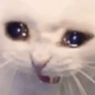 😭