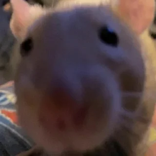 👀