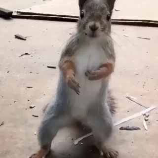 🤩
