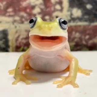 😳