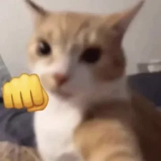 😡