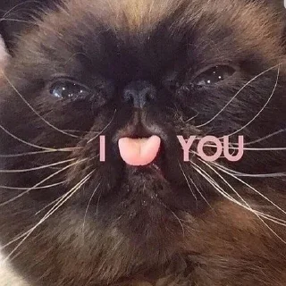 ❤️